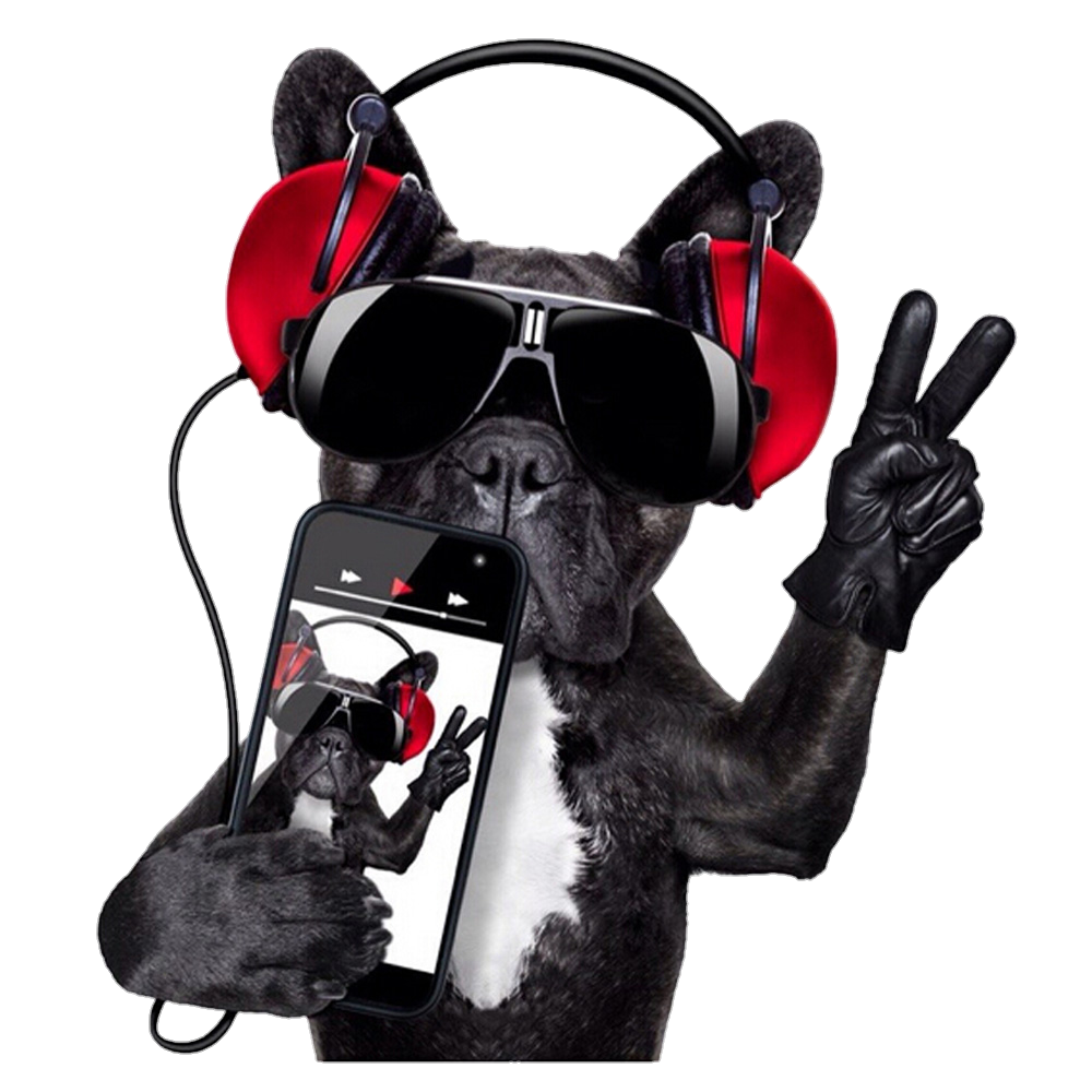 Baixe nosso aplicativo